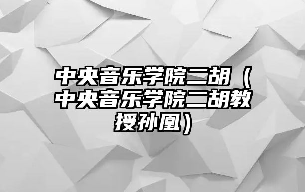 中央音樂學院二胡（中央音樂學院二胡教授孫凰）