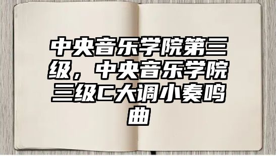 中央音樂學院第三級，中央音樂學院三級C大調小奏鳴曲