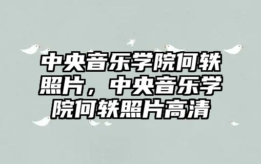 中央音樂學院何軼照片，中央音樂學院何軼照片高清