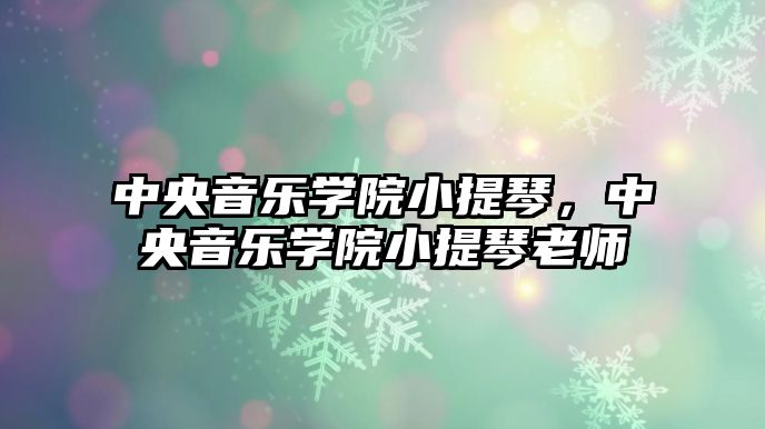 中央音樂學院小提琴，中央音樂學院小提琴老師