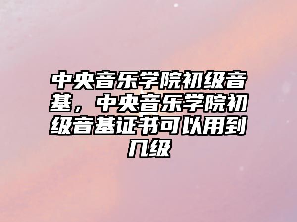 中央音樂學院初級音基，中央音樂學院初級音基證書可以用到幾級