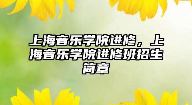 上海音樂學院進修，上海音樂學院進修班招生簡章