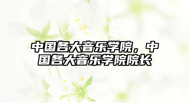 中國各大音樂學院，中國各大音樂學院院長