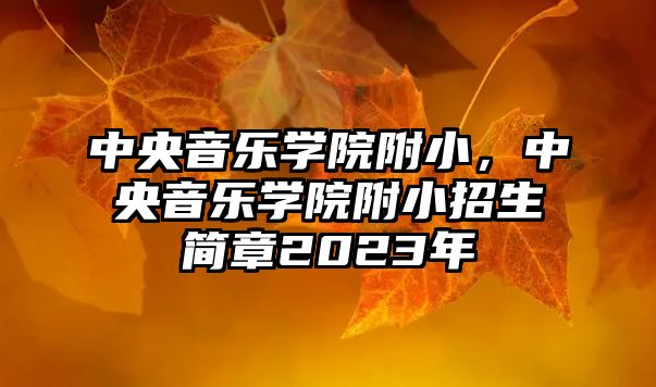 中央音樂學院附小，中央音樂學院附小招生簡章2023年