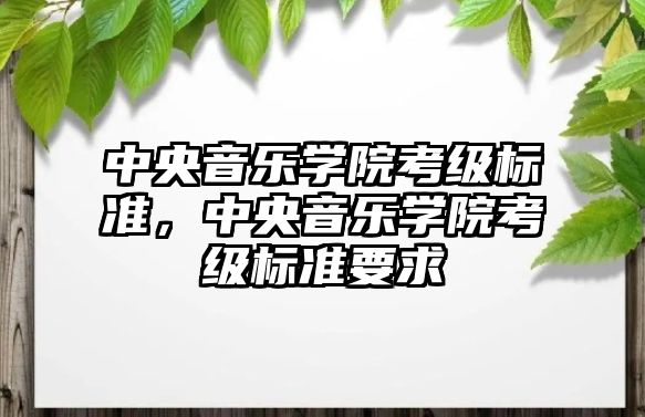 中央音樂學院考級標準，中央音樂學院考級標準要求