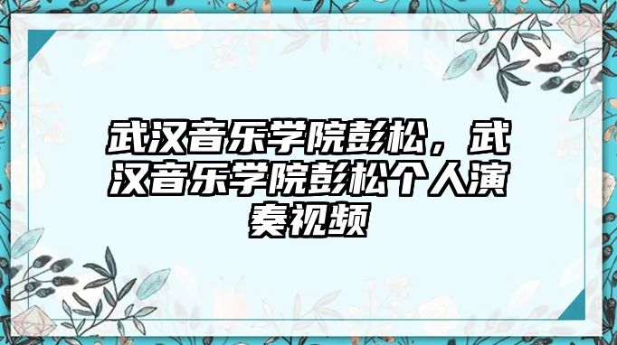 武漢音樂學院彭松，武漢音樂學院彭松個人演奏視頻