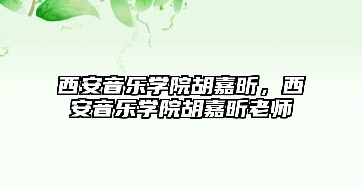 西安音樂學院胡嘉昕，西安音樂學院胡嘉昕老師