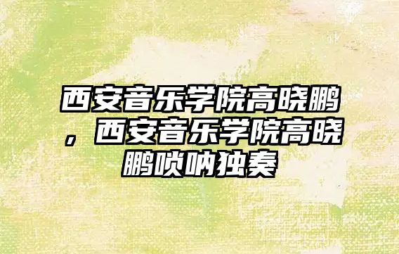 西安音樂學(xué)院高曉鵬，西安音樂學(xué)院高曉鵬嗩吶獨奏