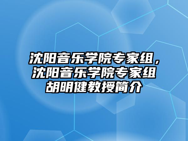 沈陽音樂學(xué)院專家組，沈陽音樂學(xué)院專家組胡明健教授簡介