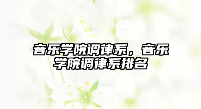 音樂學院調律系，音樂學院調律系排名