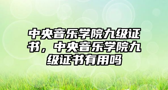 中央音樂學院九級證書，中央音樂學院九級證書有用嗎