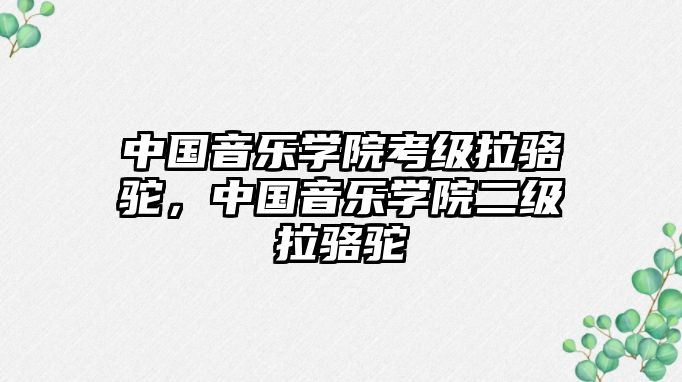 中國音樂學院考級拉駱駝，中國音樂學院二級拉駱駝