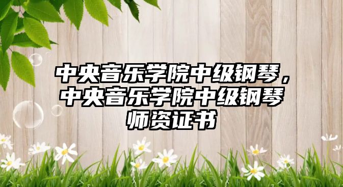 中央音樂學(xué)院中級鋼琴，中央音樂學(xué)院中級鋼琴師資證書