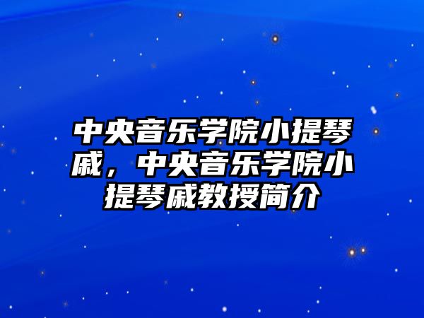 中央音樂學院小提琴戚，中央音樂學院小提琴戚教授簡介