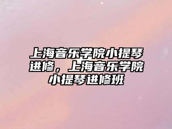 上海音樂學院小提琴進修，上海音樂學院小提琴進修班