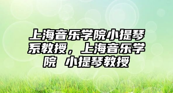 上海音樂學院小提琴系教授，上海音樂學院 小提琴教授