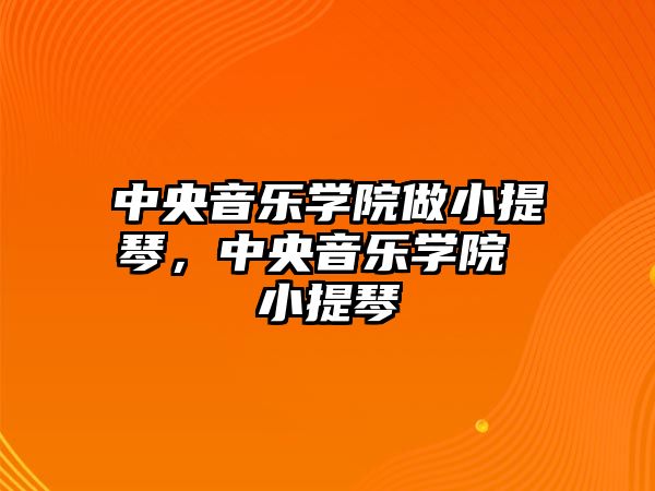 中央音樂學院做小提琴，中央音樂學院 小提琴