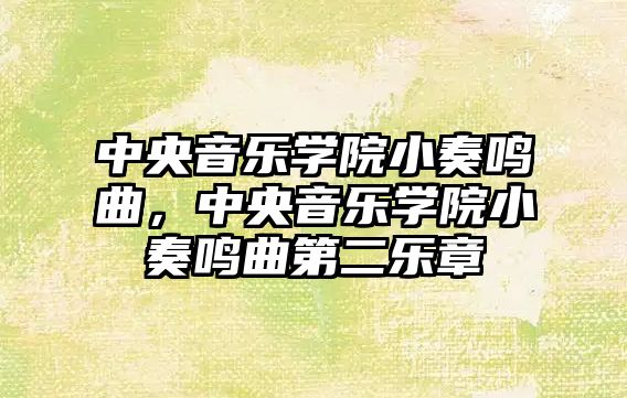 中央音樂學(xué)院小奏鳴曲，中央音樂學(xué)院小奏鳴曲第二樂章