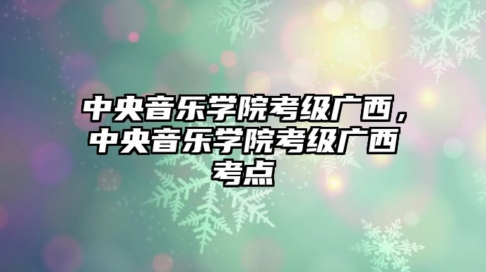 中央音樂學院考級廣西，中央音樂學院考級廣西考點