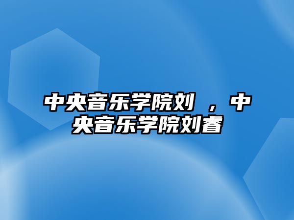 中央音樂學院劉喆，中央音樂學院劉睿