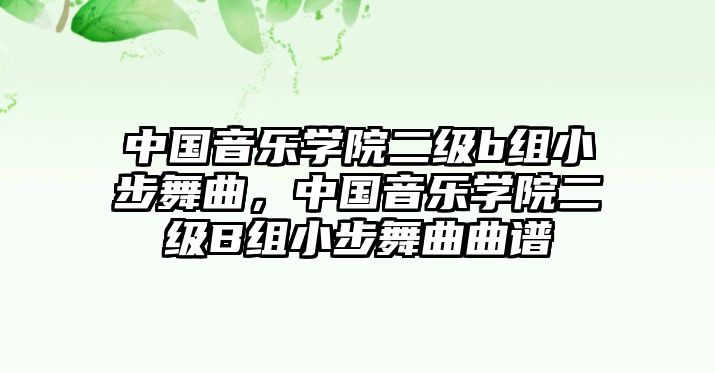 中國(guó)音樂(lè)學(xué)院二級(jí)b組小步舞曲，中國(guó)音樂(lè)學(xué)院二級(jí)B組小步舞曲曲譜