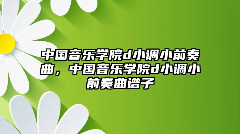 中國音樂學院d小調小前奏曲，中國音樂學院d小調小前奏曲譜子