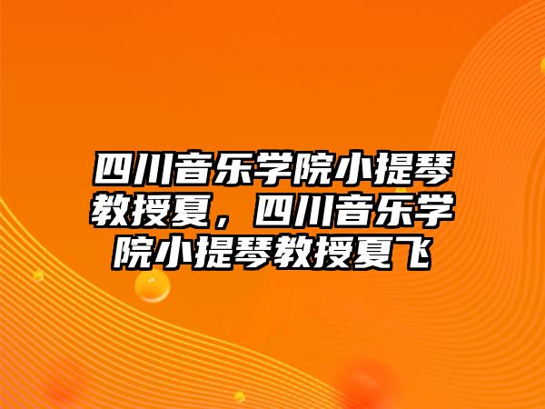 四川音樂學院小提琴教授夏，四川音樂學院小提琴教授夏飛