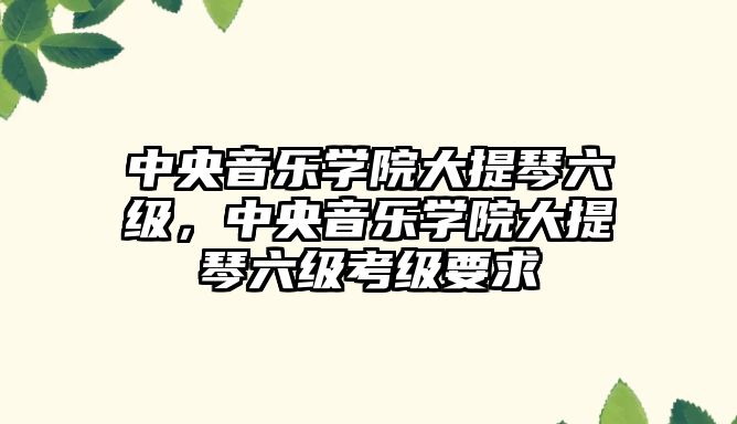 中央音樂學院大提琴六級，中央音樂學院大提琴六級考級要求