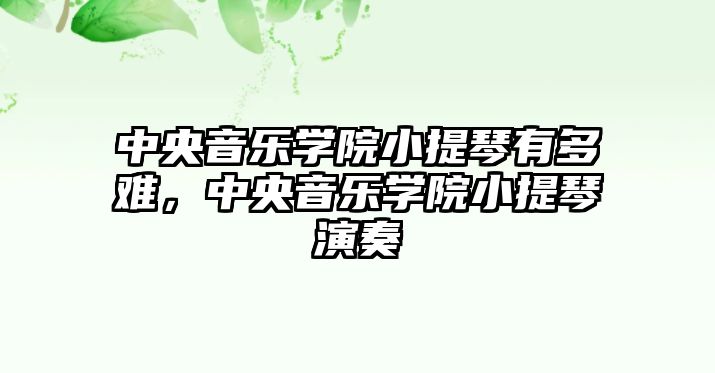 中央音樂學院小提琴有多難，中央音樂學院小提琴演奏