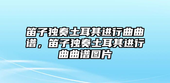 笛子獨(dú)奏土耳其進(jìn)行曲曲譜，笛子獨(dú)奏土耳其進(jìn)行曲曲譜圖片