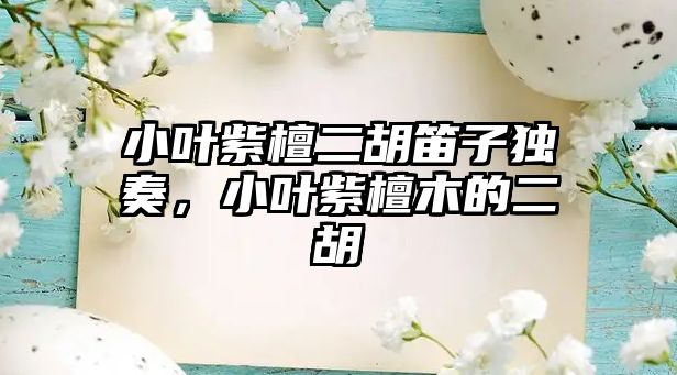 小葉紫檀二胡笛子獨(dú)奏，小葉紫檀木的二胡