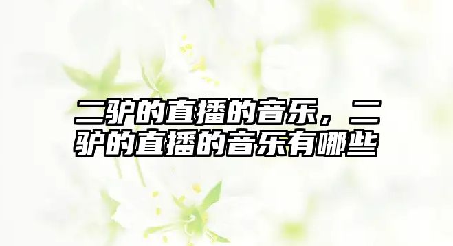 二驢的直播的音樂，二驢的直播的音樂有哪些