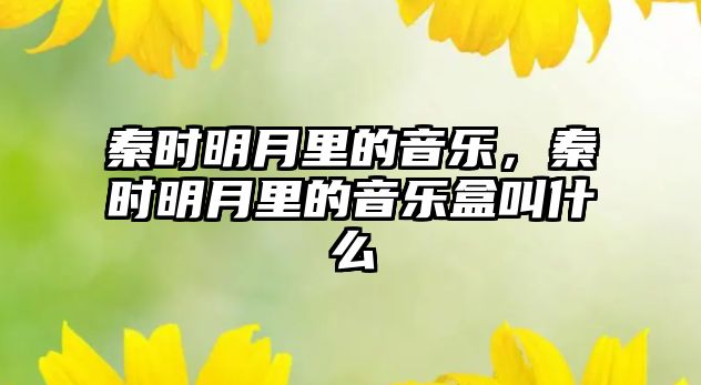 秦時明月里的音樂，秦時明月里的音樂盒叫什么