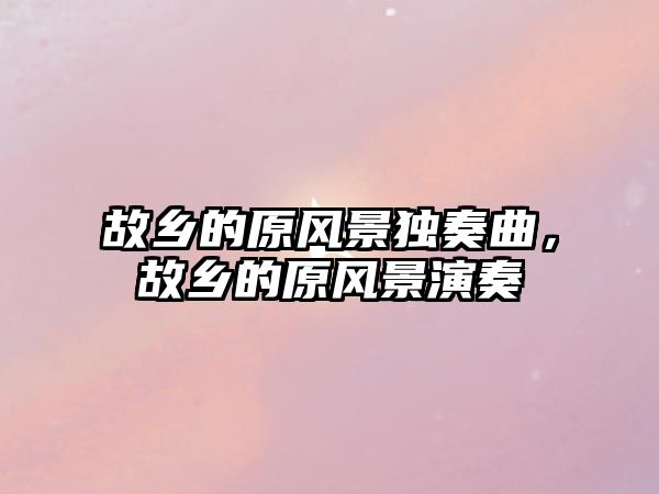 故鄉的原風景獨奏曲，故鄉的原風景演奏