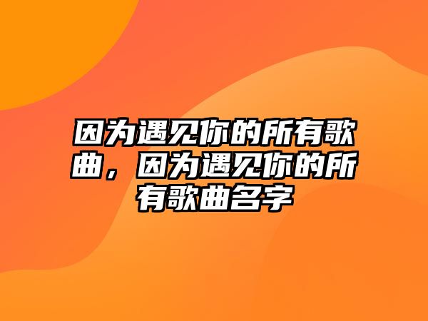 因為遇見你的所有歌曲，因為遇見你的所有歌曲名字