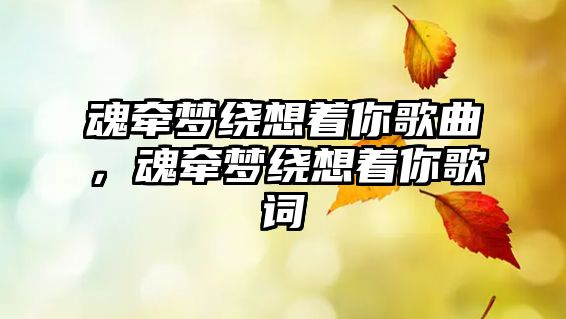 魂牽夢繞想著你歌曲，魂牽夢繞想著你歌詞