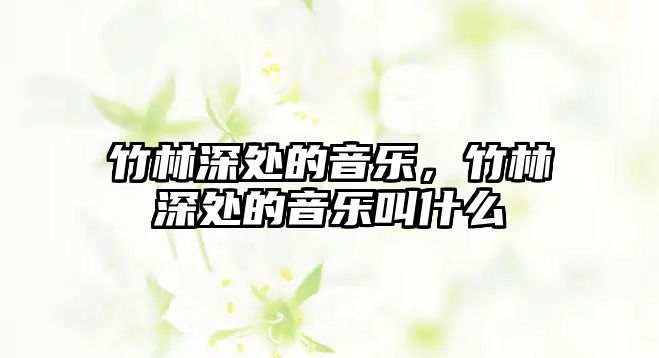 竹林深處的音樂(lè)，竹林深處的音樂(lè)叫什么