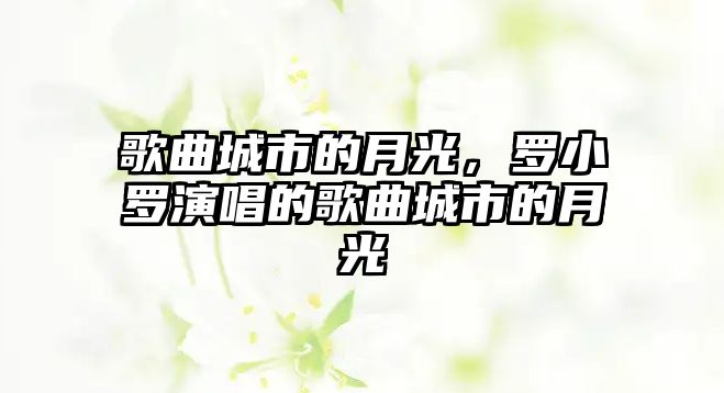 歌曲城市的月光，羅小羅演唱的歌曲城市的月光