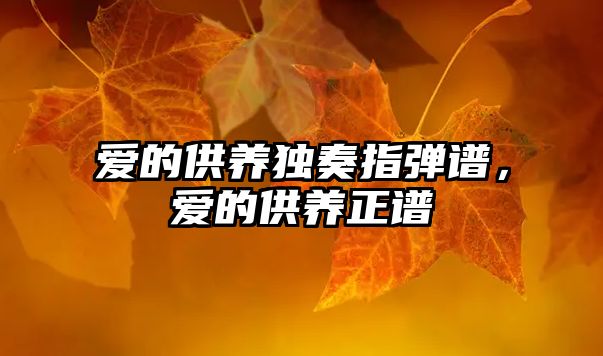 愛(ài)的供養(yǎng)獨(dú)奏指彈譜，愛(ài)的供養(yǎng)正譜