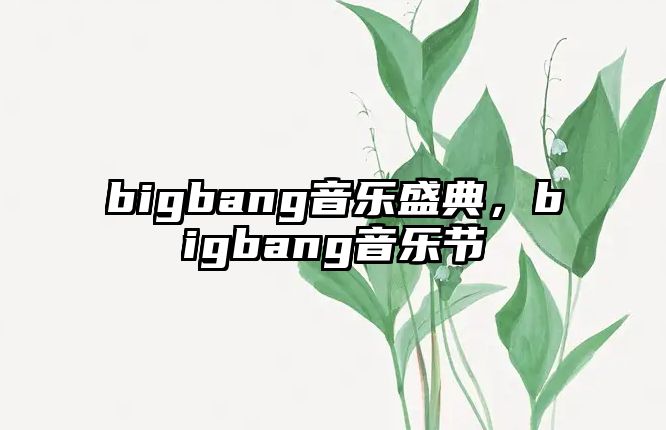 bigbang音樂盛典，bigbang音樂節