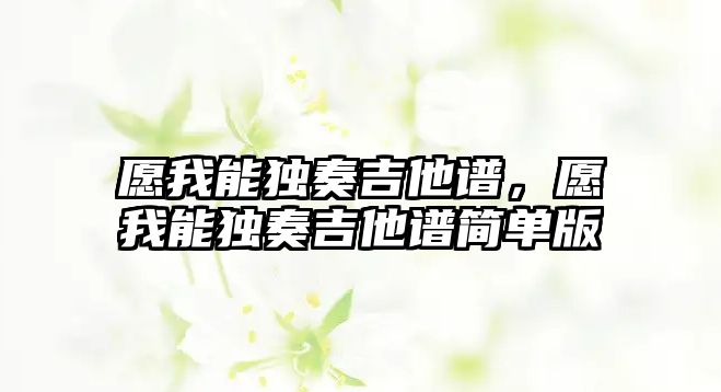 愿我能獨奏吉他譜，愿我能獨奏吉他譜簡單版