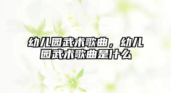 幼兒園武術歌曲，幼兒園武術歌曲是什么