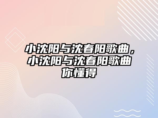 小沈陽與沈春陽歌曲，小沈陽與沈春陽歌曲你懂得