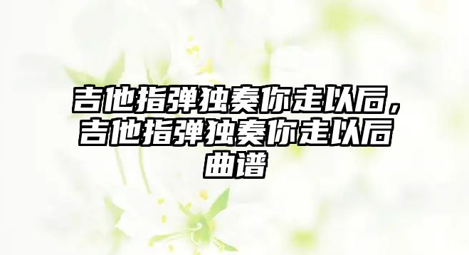 吉他指彈獨奏你走以后，吉他指彈獨奏你走以后曲譜