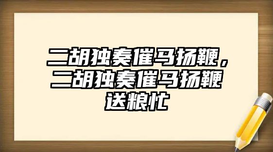 二胡獨奏催馬揚鞭，二胡獨奏催馬揚鞭送糧忙