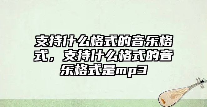 支持什么格式的音樂格式，支持什么格式的音樂格式是mp3