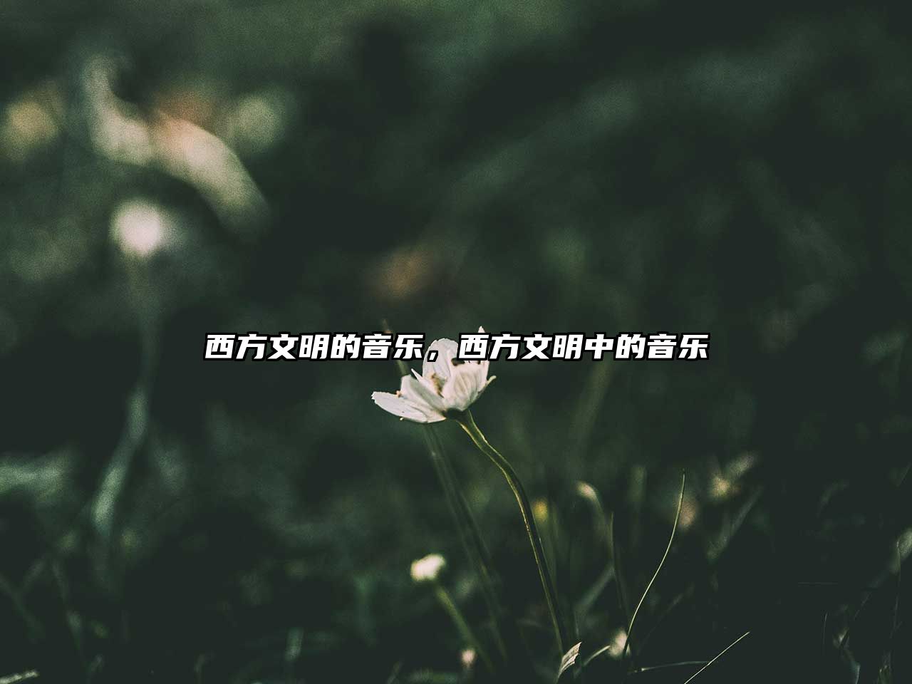 西方文明的音樂，西方文明中的音樂