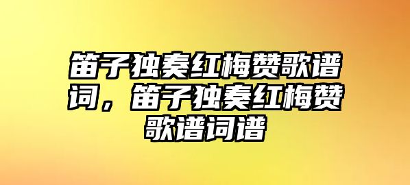 笛子獨奏紅梅贊歌譜詞，笛子獨奏紅梅贊歌譜詞譜