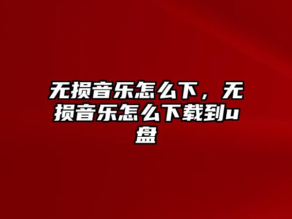 無損音樂怎么下，無損音樂怎么下載到u盤