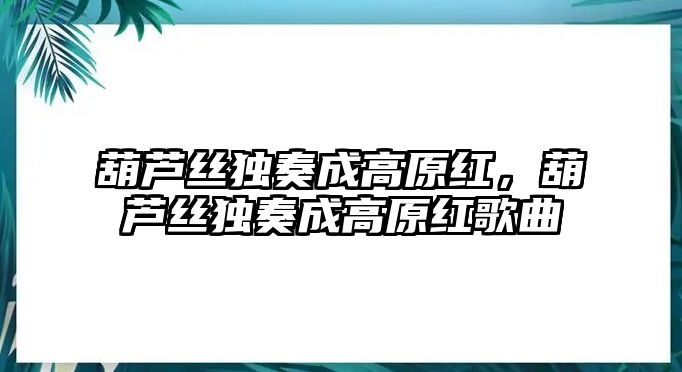 葫蘆絲獨奏成高原紅，葫蘆絲獨奏成高原紅歌曲